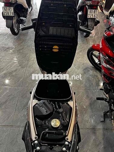 Honda Future LED Nâu