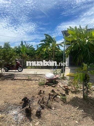 BÁN ĐẤT TẠI NHƠN THỌ 1 HOÀ XUÂN ĐÀ NẴNG