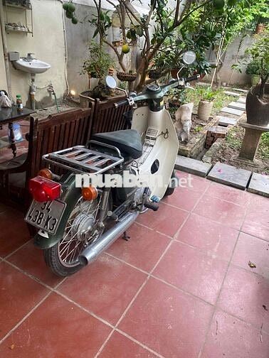 Honda Cup 81/90/84 Xanh, Trắng