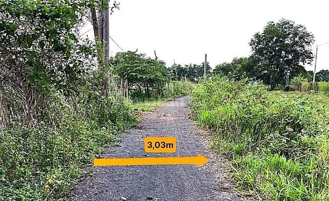 Công ty Đấu giá hợp danh Lam Sơn Sài Gòn thông báo đấu giá tài sản