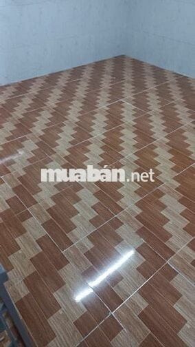Cho thuê nhà đường Ngô Tất Tố, Q. Bình Thạnh , TP.HCM
