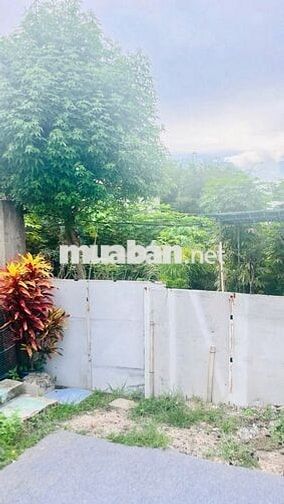 552M² TÂN THỚI NHÌ–NGANG 10M NỞ HẬU 14M CỰC HIẾM–GIẢM SÂU CHỈ 12.9 TỶ