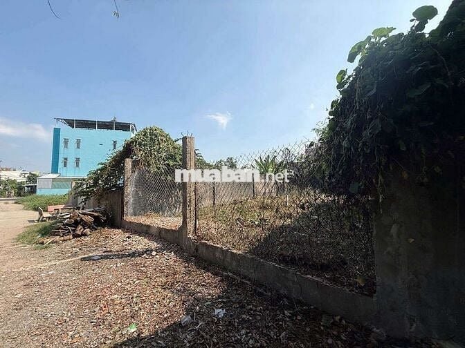 ĐẤT THỔ CƯ, CÁCH TÔ KÝ, CHỢ BÀ BẦU 100M - (6X24) FULL THỔ - GIÁ 4TỶ