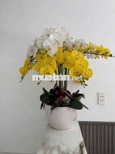 🏡Nhà Liên Khu 4-5 Ngang 6m Dài 10m Giá 4Tỷ2