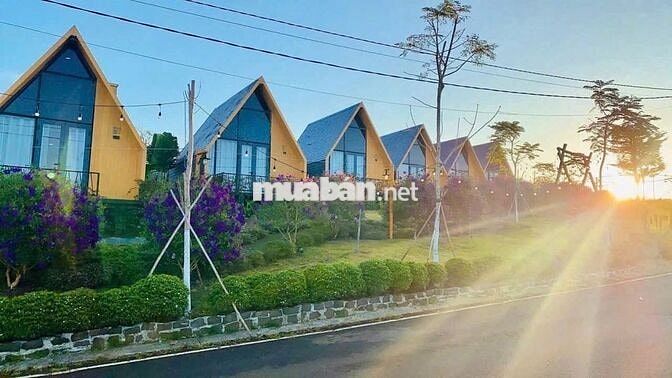 💎500m2 Đất view hồ TP. Bảo Lộc sổ sẵn