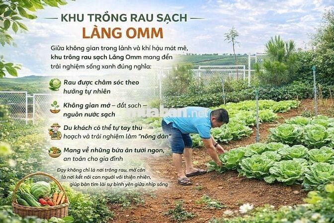 💎500m2 Đất view hồ TP. Bảo Lộc sổ sẵn