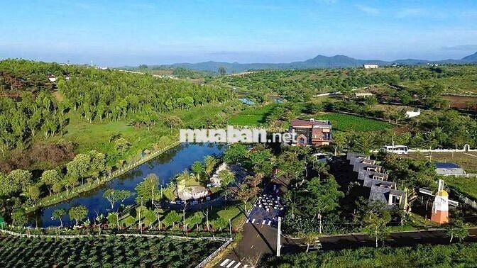 💎500m2 Đất view hồ TP. Bảo Lộc sổ sẵn