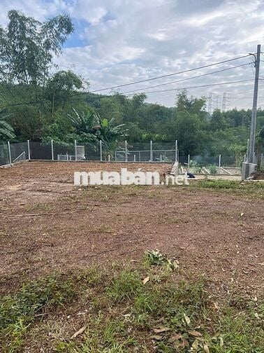 Đất đồi Veiw sông không bao giờ ngập, ô tô vào tận nơi