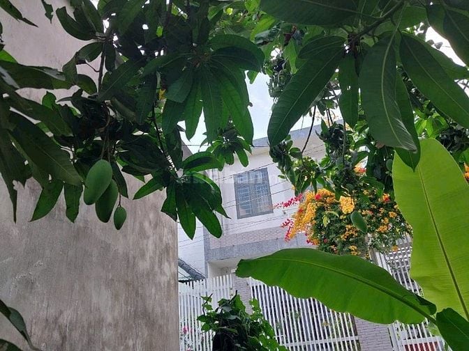 CHO THUÊ NHÀ, KINH DOANH, CÓ SÂN ĐẬU XE HƠI, ĐƯỜNG RỘNG, CÓ VƯỜN