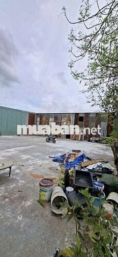 kho xưởng cho thuê DT 700m giá 30tr Xuân Thới thượng hóc môn