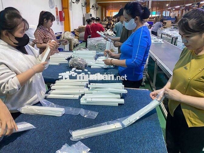 NHÂN VIÊN VĂN PHÒNG _ LDPT LÀM VIỆC TẠI TTC TN