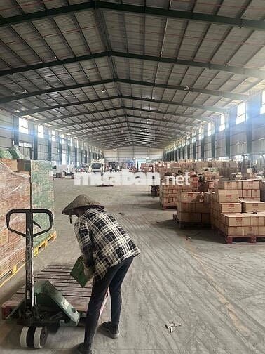 Nhân viên bán hàng các dòng nước ngọt trà
