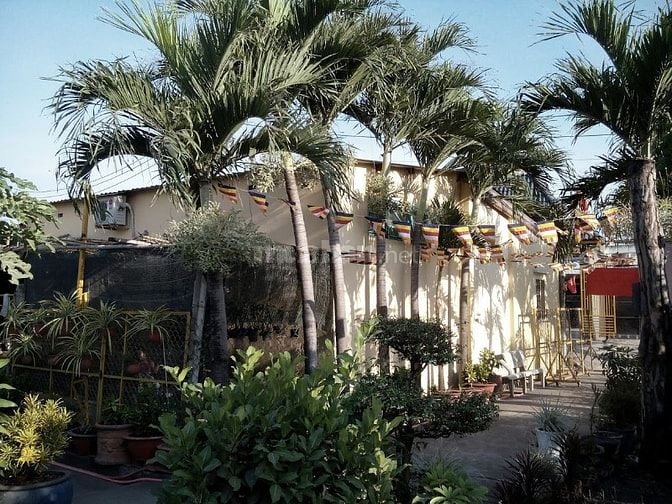NHƯỜNG LẠI 2 XUẤT ĐẤT SINH PHẦN- NGHĨA TRANG CHÙA BÁO QUỐC HÓC MÔN