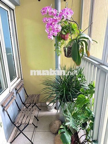 Bán căn hộ 2 PN, toà B2, Rừng Cọ,Ecopark,Văn Giang,Hưng Yên chỉ 4,2 tỷ