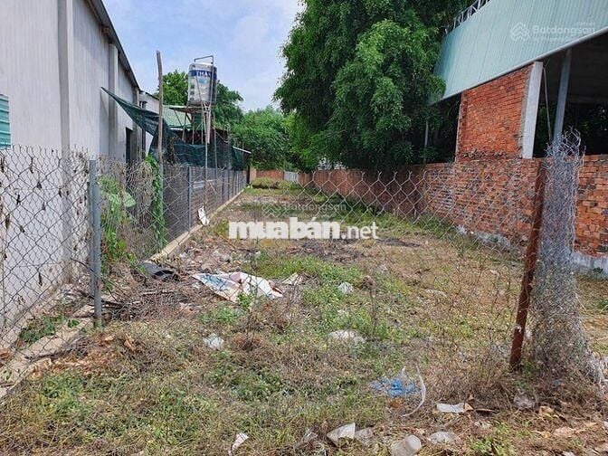 Bán Gấp Lô Đất 1 Tỷ 3,5 Ngay Đường Suối Lội Tân Thông Hội, Củ Chi SHR.