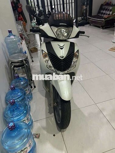 Honda SH Trắng