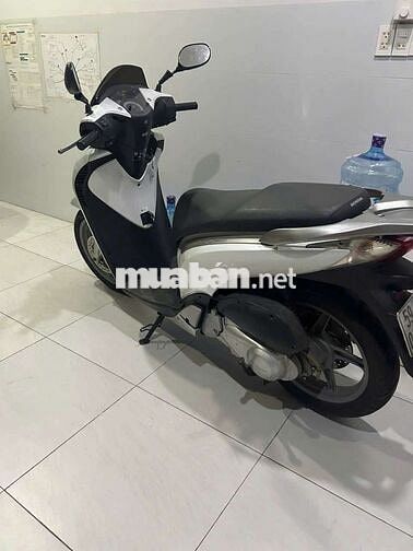 Honda SH Trắng