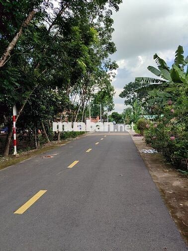 Chủ kẹt cần bán đất Mỹ Phước 3, diện tích 480m, thổ cư