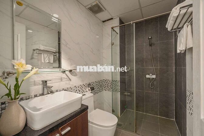 Cần Bán Chung Cư Monachy có sân vườn gần cầu Rồng