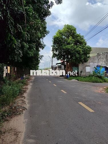 Chủ ngộp cần bán đất Tân Định, Bến Cát DT6*20m