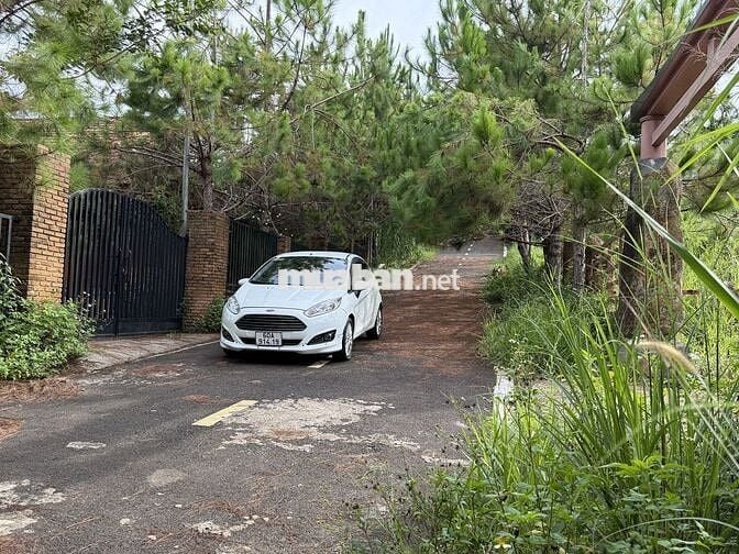 Ford Fiesta 2014 1.0 Tubo Trắng Tự động