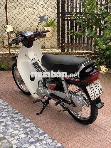 Dream ngon keng, chỉ vài triệu