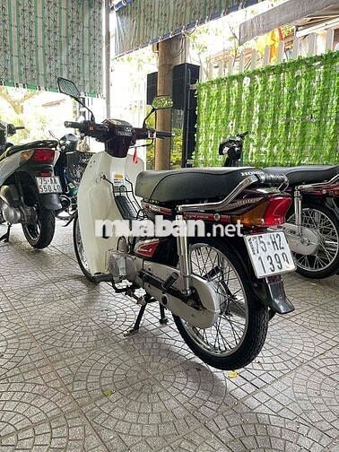 Honda Dream Thái Lan Nâu, Trắng