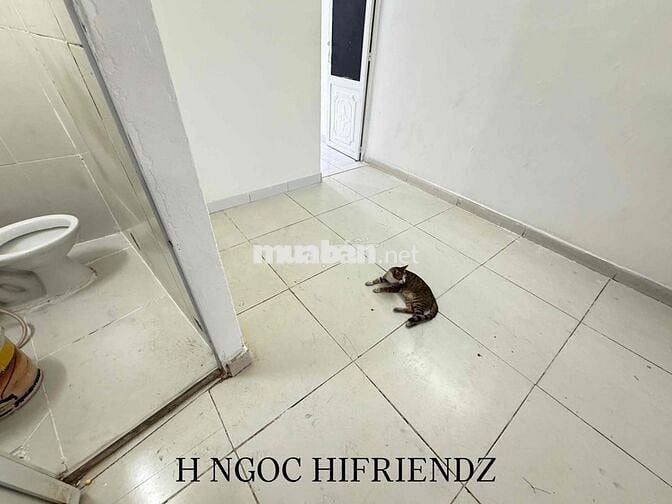 1PN 1PK - MẶT TIỀN CAO LỖ - 50M2 - NHÀ TRỐNG - CÓ HỖ TRỢ 1 MÁY LẠNH
