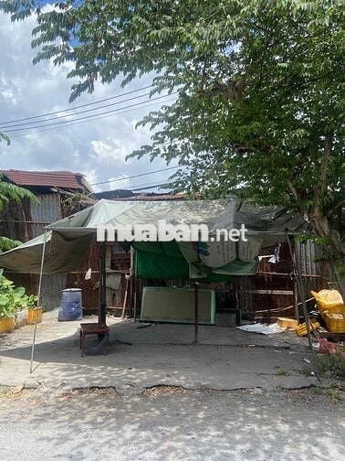 Nhà,Mặt bằng kinh doanh buôn bán