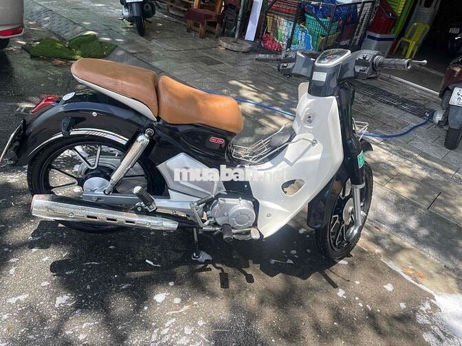 Honda Cub 2024 Đen, Trắng