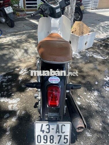 Honda Cub 2024 Đen, Trắng