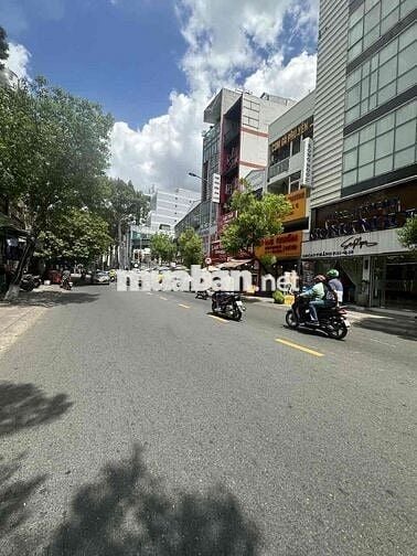 cho thuê toà nhà nguyên căn mặt tiền quận 3