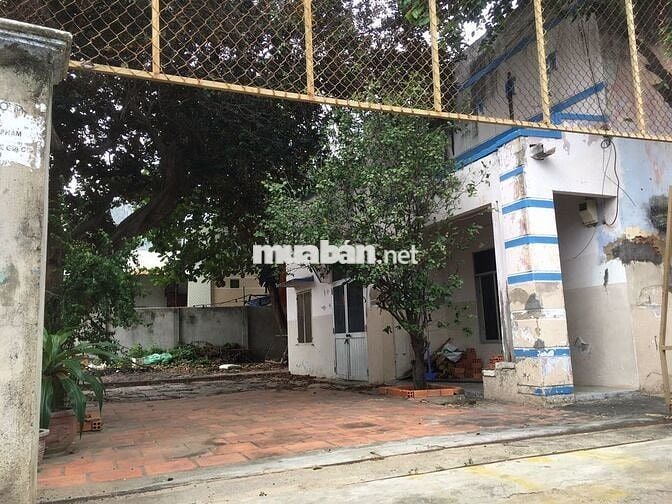 Nhà sân vườn rộng 380m² cho thuê – Vừa ở vừa kinh doanh- Giá chỉ 3tr6