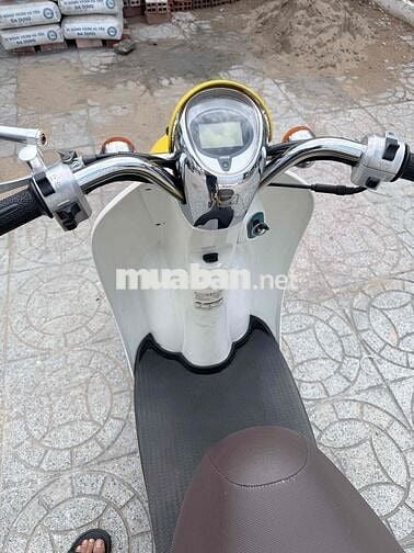 Honda Scoopy 50cc Vàng Trắng Nhật Bản