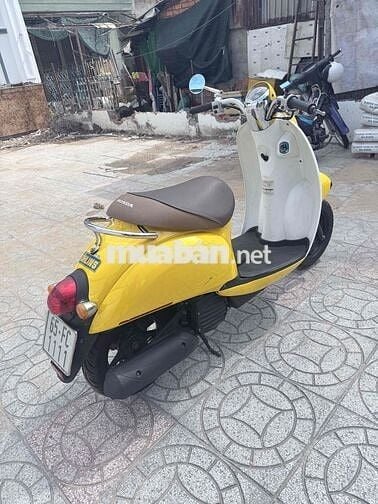Honda Scoopy 50cc Vàng Trắng Nhật Bản