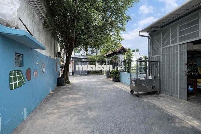 Bán Nhà riêng tại Hẻm 267, Lê Đình Cẩn, 5,1 tỷ, 66m² - Giá cực chất
