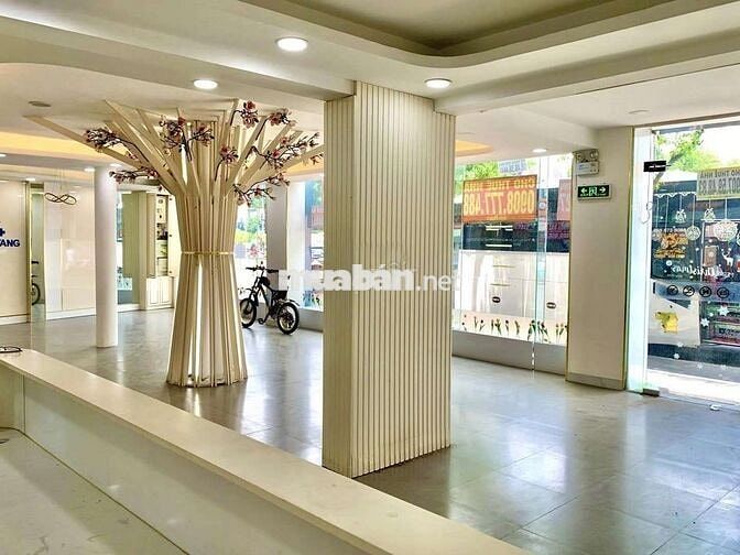 Cho thuê nhà MT Nguyễn Văn Trỗi p1 Tân Bình- DT:18m x19m