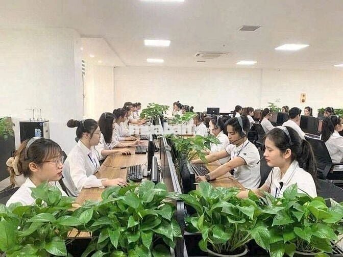 TUYỀN DỤNG CHĂM SÓC KHÁCH HÀNG VIETTEL