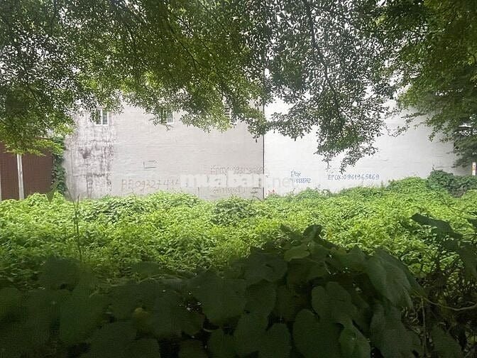 Bán đất nền dự án 51,5m2 tại The Sun Residence, Nhà Bè, HCM