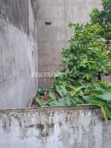 📢CỰC MỀM, LÔ GÓC 2 MẶT TIỀN 55M² LÊ TRỌNG TẤN, TÂN PHÚ 4,2 TỶ.