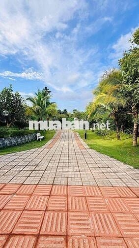 thanh lý lỗ 300tr - nhà vườn nghỉ dưỡng 570tr
