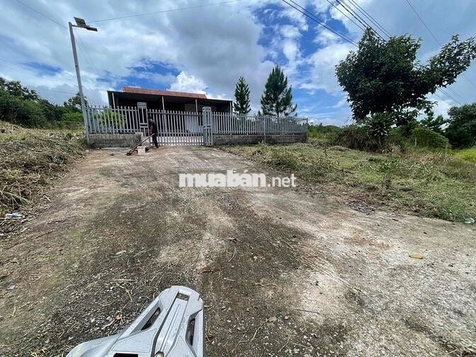 bán căn nhà gỗ mặt tiền Tôn Thất Thuyết Bảo Lộc