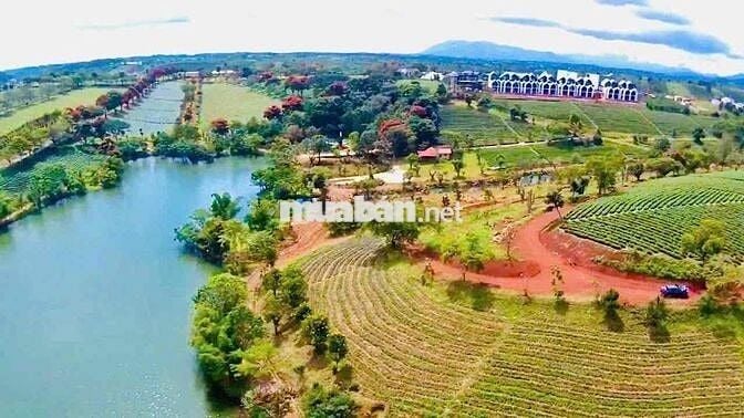 Đất Bảo Lộc Nghỉ Dưỡng- Sổ Sẵn- Công Chứng