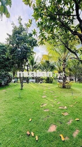thanh lý lỗ 300tr - nhà vườn nghỉ dưỡng 570tr