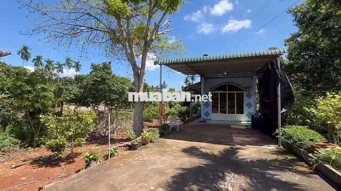 Bán lỗ miếng nhà vườn Bình Phước