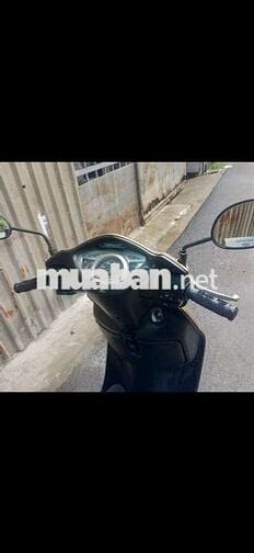 Honda Lead 2010 Vàng đồng