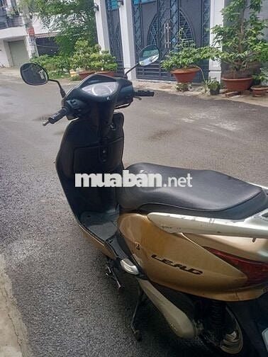 Honda Lead 2010 Vàng đồng