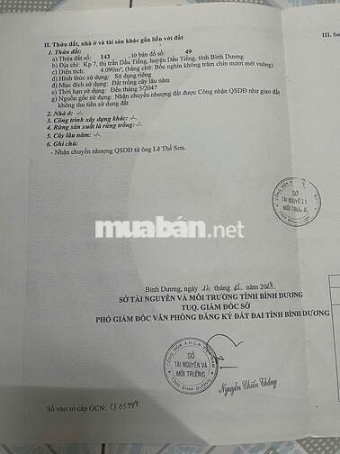 Đất cao su 6 tỷ/mẫu, cần bán gấp 6 mẫu