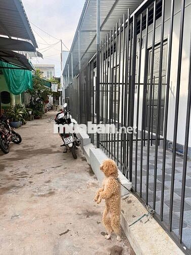 KHOÁNG CHO THUÊ DÃY TRỌ 8P TRỆT LỬNG MỚI 100% HẺM 444/31 CMT8