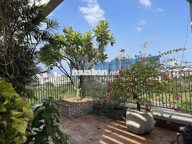 Cho thuê Penthouse Star Hill - sân vườn to- 242m2 - Nhà đẹp -61 tr/ th